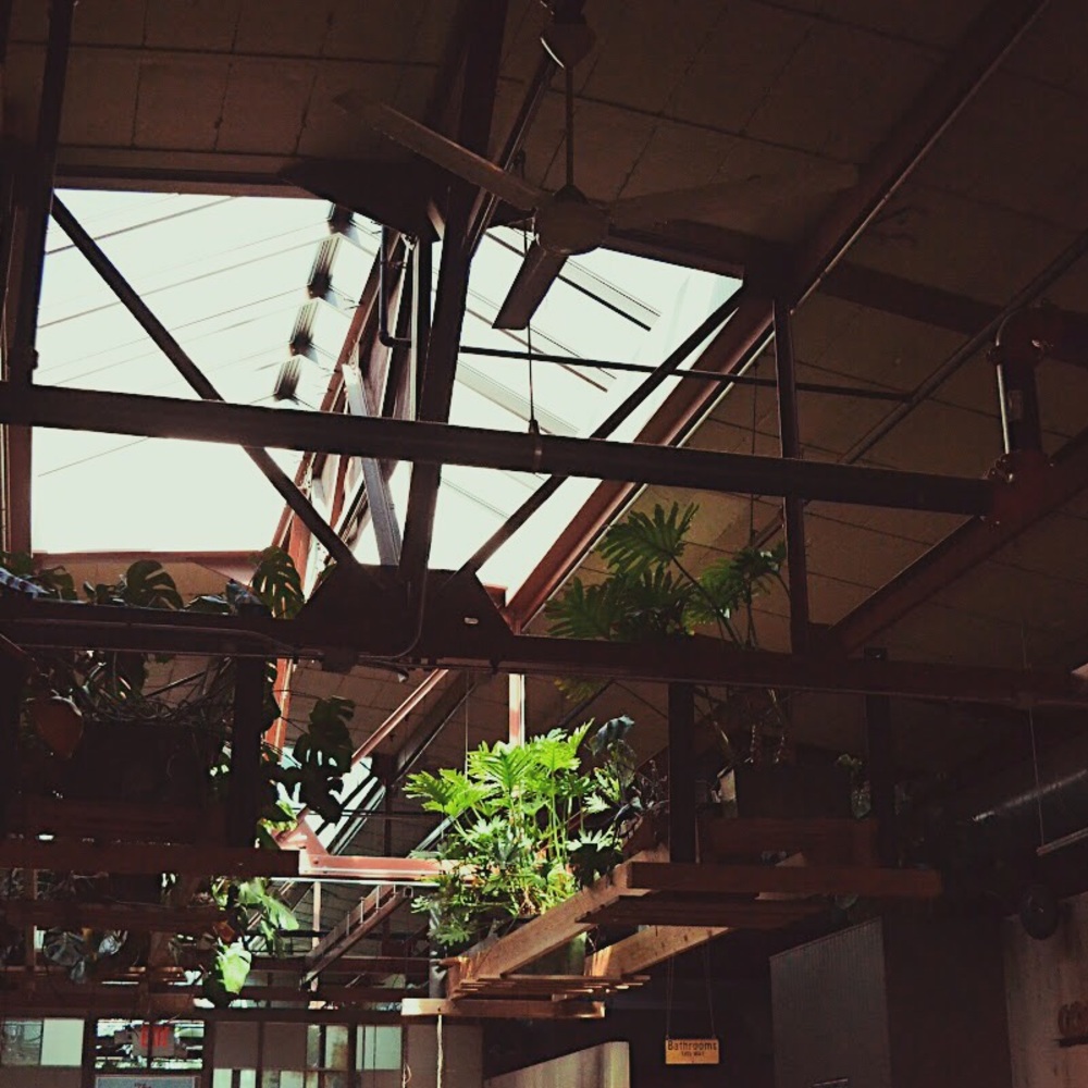 Meet your Posher, Makayla